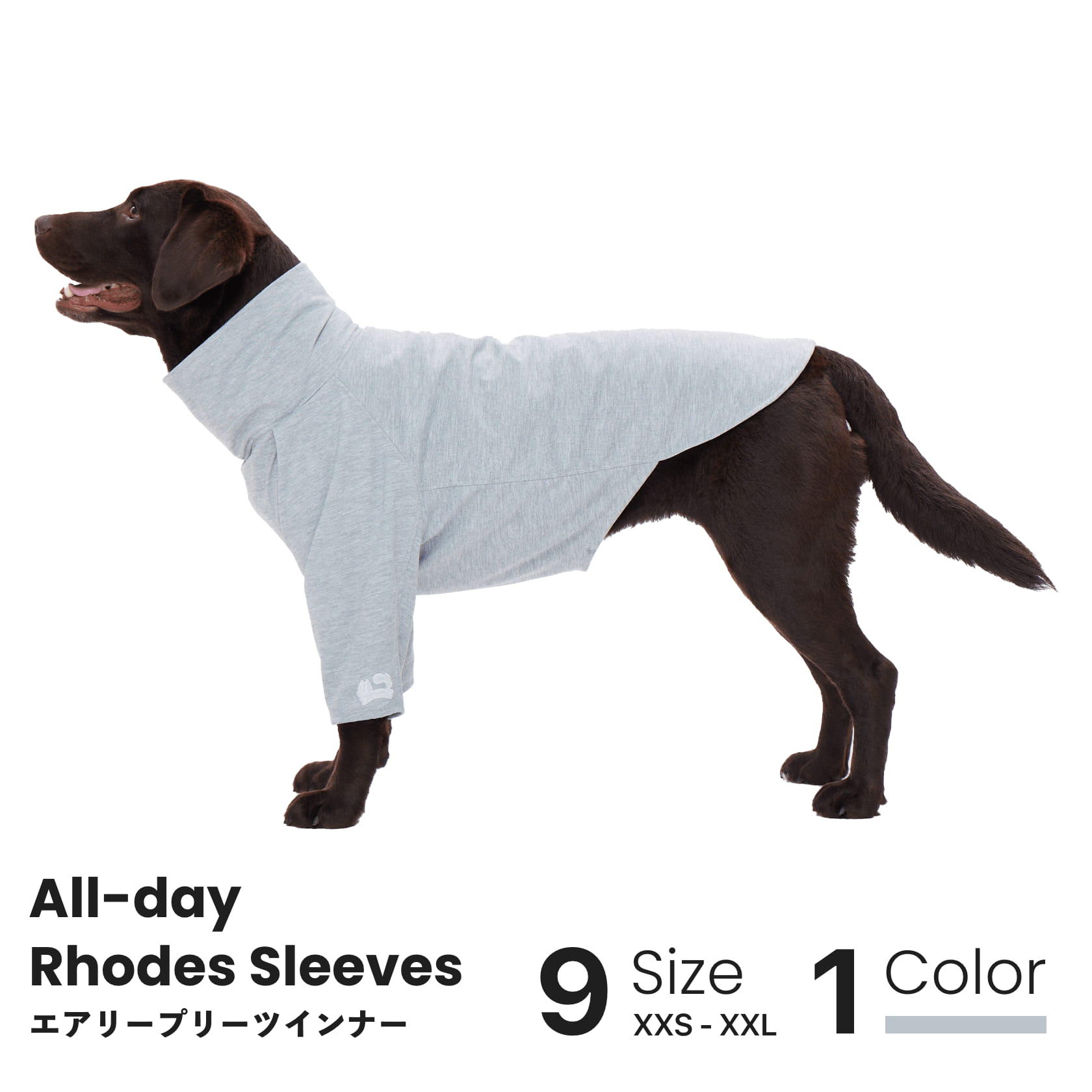 【NEW】エアリープリーツインナー All-day Rhodes Sleeves インナーウェア 秋 冬 ドッグウェア