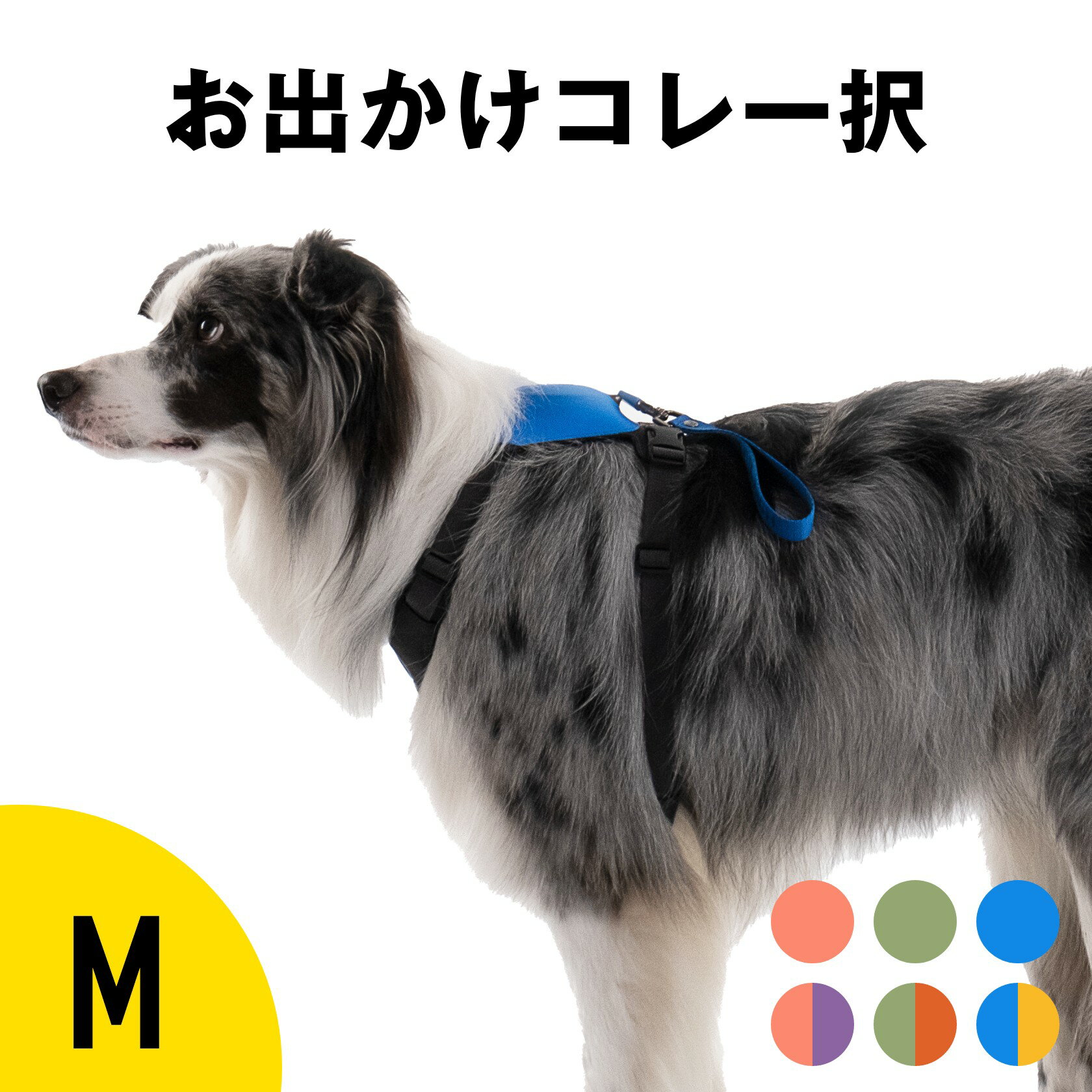 【NHKで紹介】伸縮リード 一体型 ハーネス セット テールハイ Mサイズ Y字型デザイン 可愛い おしゃれ 小型犬 中型犬 大型犬 ブランド 犬具 胴輪 犬用 多頭 ベルト 簡単装着 TAILHIGH ベルトのサムネイル
