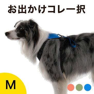 【NHKで紹介】伸縮リード 一体型 ハーネス セット テールハイ Mサイズ Y字型デザイン 可愛い おしゃれ 小型犬 中型犬 大型犬 ブランド 犬具 胴輪 犬用 多頭 ベルト 簡単装着 TAILHIGH ベルト