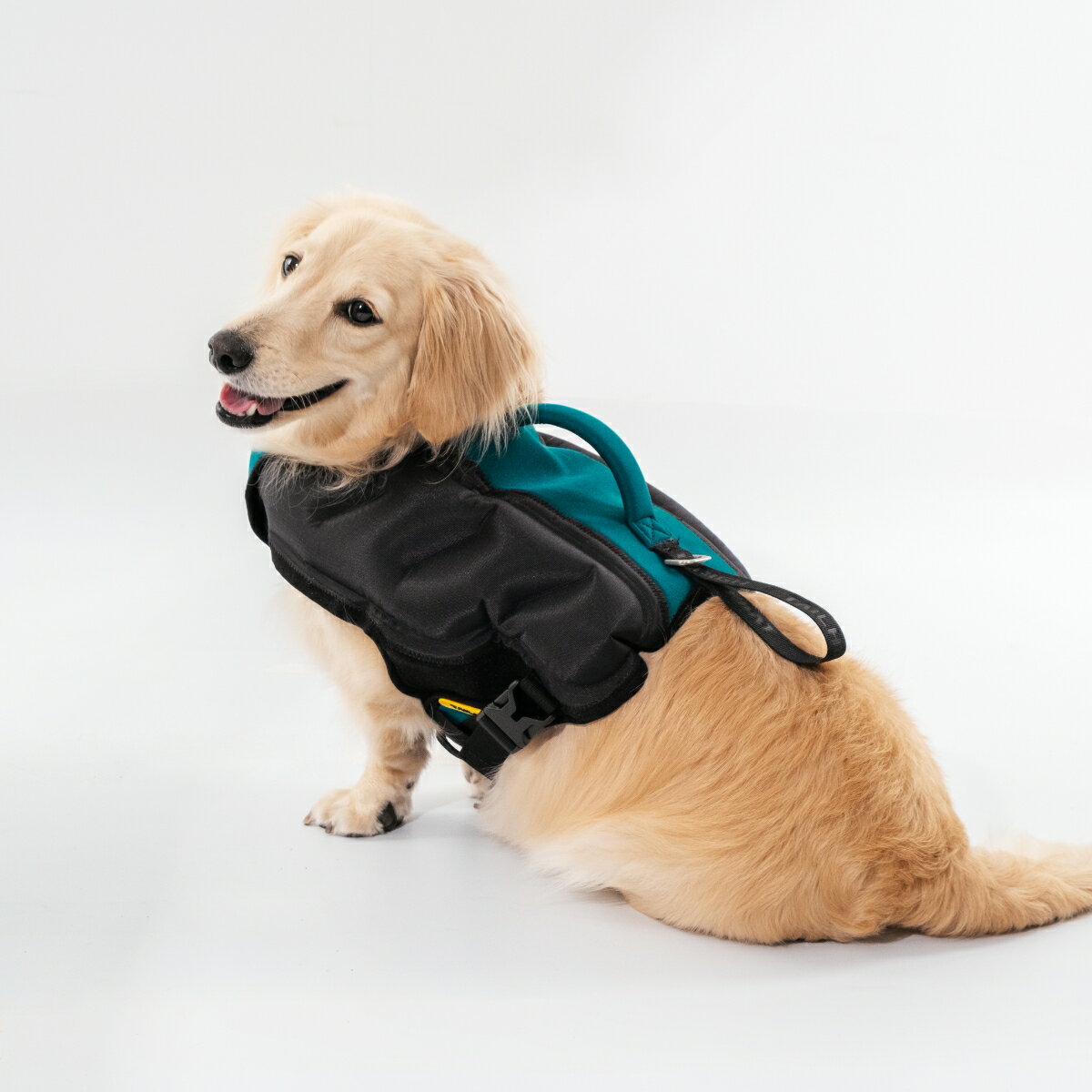 犬用ライフジャケットの革命 圧倒的な高浮力 Mサイズ Tailhigh あごのせ おしゃれ コンパクト テールハイ テールハイブランド デザイン フローティング ブランド ベスト ポータビリティ ライジャケ ライフジャケット 中型犬 可愛い 大型犬 小型犬 小型犬から大型犬まで 犬用ライフジャケットの革命 圧倒的な高浮力 Mサイズ Tailhigh あごのせ おしゃれ コンパクト テールハイ テールハイブランド デザイン フローティング ブランド ベスト ポータビリティ ライジャケ ライフジャケット 中型犬 可愛い 大型犬 小型犬 小型犬から大型犬まで