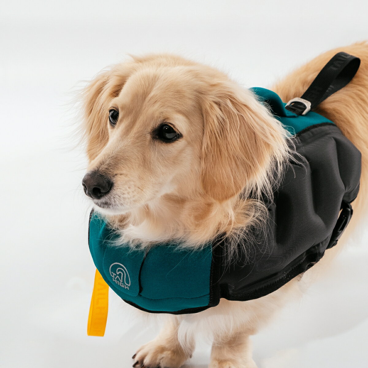 犬用ライフジャケットの革命 圧倒的な高浮力 Mサイズ Tailhigh あごのせ おしゃれ コンパクト テールハイ テールハイブランド デザイン フローティング ブランド ベスト ポータビリティ ライジャケ ライフジャケット 中型犬 可愛い 大型犬 小型犬 小型犬から大型犬まで 犬用ライフジャケットの革命 圧倒的な高浮力 Mサイズ Tailhigh あごのせ おしゃれ コンパクト テールハイ テールハイブランド デザイン フローティング ブランド ベスト ポータビリティ ライジャケ ライフジャケット 中型犬 可愛い 大型犬 小型犬 小型犬から大型犬まで