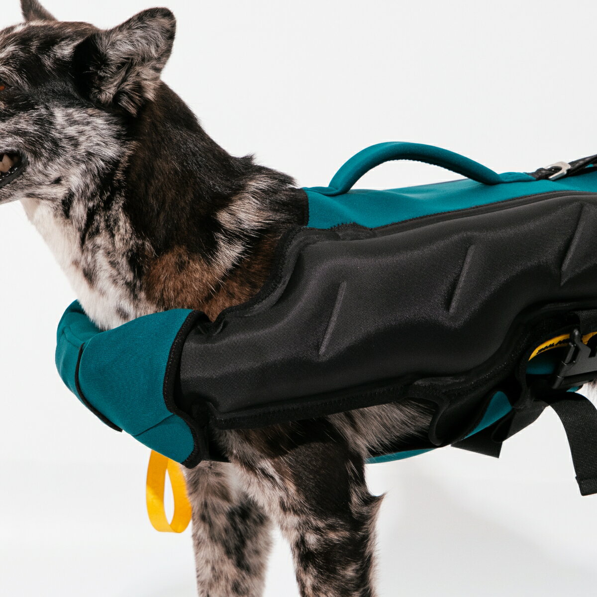 犬用ライフジャケットの革命 圧倒的な高浮力 テールハイブランド デザイン コンパクト ポータビリティ 小型犬から大型犬までサイズ展開 ライフジャケット 犬用 テールハイ Lサイズ 高浮力 おしゃれ 可愛い フローティング ベスト 救命胴衣 あごのせ ライジャケ 小型犬