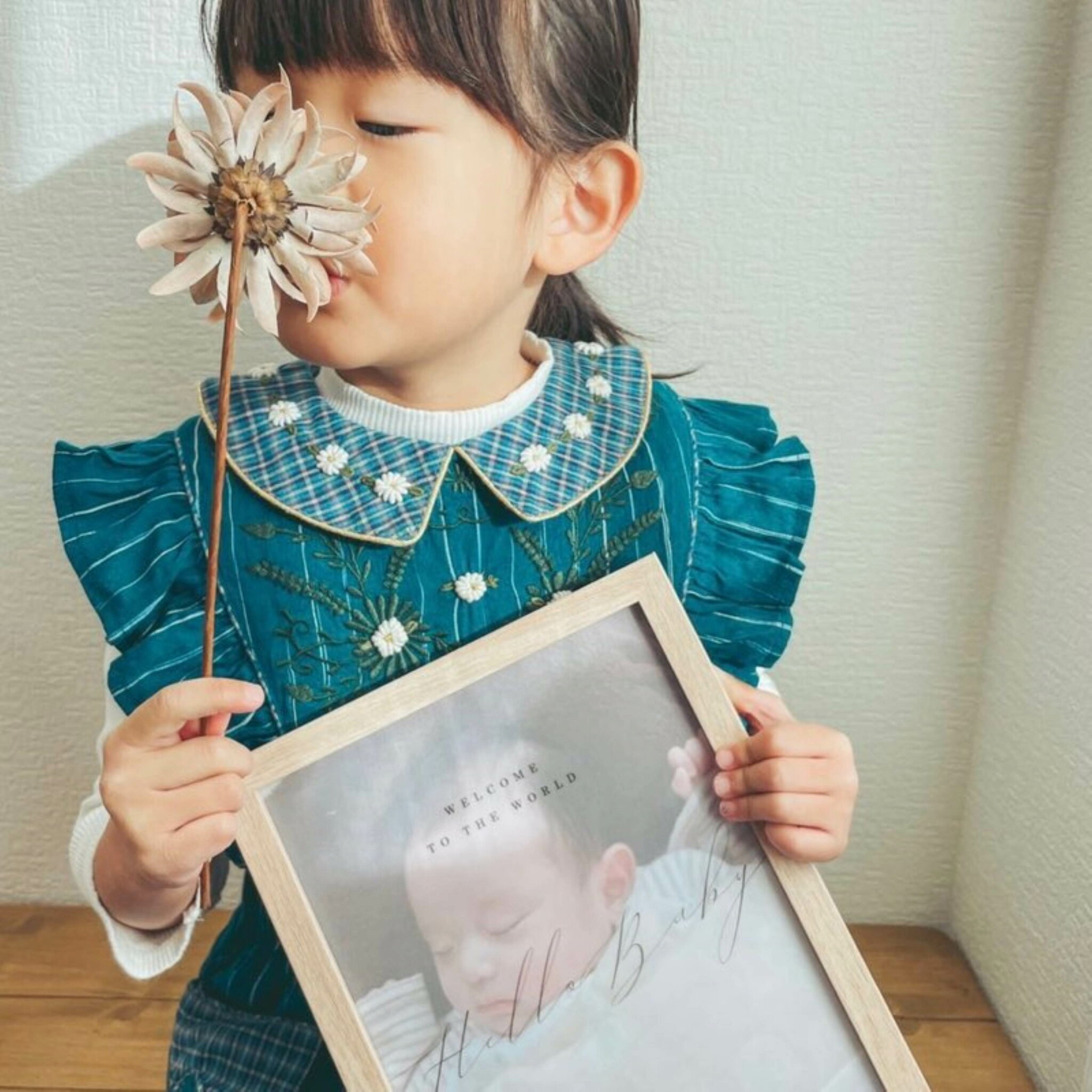 【 たて シースルー 命名書(額付き) 】ファミリーフォト 家族写真 記念写真 おうちフォト おうちスタジオ おうちフォトスタジオ お誕生日 誕生日 アニバーサリー カレンダー おしゃれカレンダー 結婚記念日 フォトフレーム 命名書 お七夜 タペストリー ニューボーン