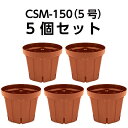 スリット鉢 CSM-150(5号) ブラウン 5個セット