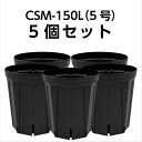 スリット鉢 CSM-150L(5号ロング) 黒 5個セット