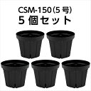 スリット鉢 CSM-150(5号) 黒 5個セット