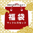 \18日2時~当日全品15%オフ/【★2025 福袋★ 送料無料】福袋 『早得』楽天限定 福袋 2025 マットレス シングル セミダブル ダブル 3つ折り 高反発マットレス 洗えるカバー 竹炭消臭 敷布団