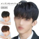 【楽天スーパーSALE】ウィッグ 人毛100% メンズ フルウィッグ 自然 ナチュラル かつら カツラ ウェーブ 軽量 男性 全頭かつら 人毛かつら 人毛ウィッ...