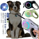 【楽天スーパーSALE】大型犬 伸縮リード 6m LED ライト付き 雰囲気ライト USB 充電式 犬 リード 伸縮 光る 犬用 中型犬 小型犬 ドッグリード ...