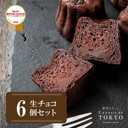 東京カヌレ 【東京カヌレ】【生チョコ味 6個セット】【送料無料】母の日 ギフト 人気 スイーツ お取り寄せ 冷凍 個包装 焼き菓子 お誕生日 結婚祝い 出産祝い 退職祝い お返し 送料込み プレゼント プチギフト【あす楽】