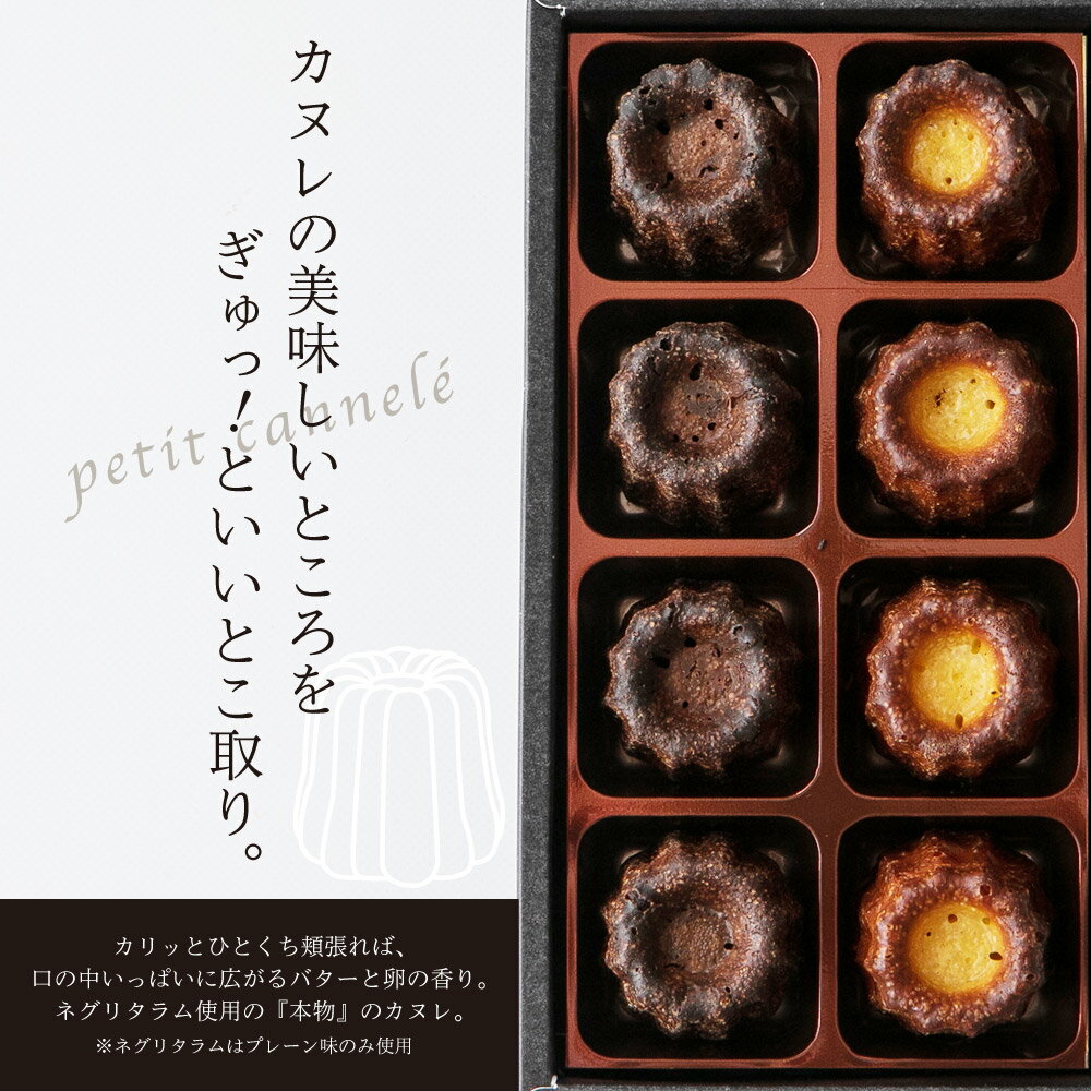 �ۥ磻�ȥǡ� ���ե� �ڥץ����̥�ۡ�6�ĥ��åȡۡ�����̵���ۿ͵� �������� ������ ���� �ǰ¿� ��͵� �������� �л��ˤ� �࿦�ˤ� ���֤� �ץ쥼��� �ץ����ե� �ǥ����� �����