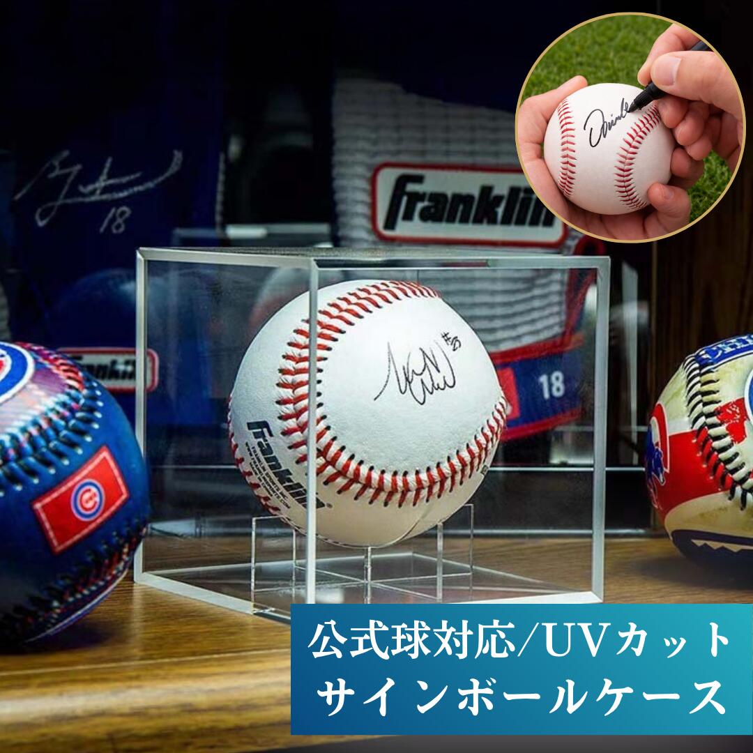 楽天市場】サインボールケース（設備・備品｜野球・ソフトボール