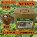 カカオちゃん 1L 5L 20L バイオスティミュラント 植物活性剤 免疫力向上 カカオ モリンガ 葉面散布 土壌灌水 抗酸化作用