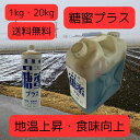 糖蜜プラス 1kg 20kg 糖蜜液 バチルス菌 地温上昇 光合成促進 食味向上 微生物繁殖
