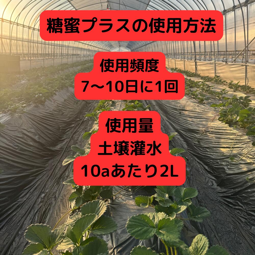 糖蜜プラス 1kg 20kg 糖蜜液 バチルス菌 地温上昇 光合成促進 食味向上 微生物繁殖
