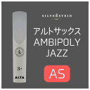 ySilverstein/Vo[X^CzAgTbNX[hALTA AMBIPOLY JAZZ/A^ Ar| WY[ԎIт]yYOKOHAMAz