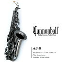 *2025/6/2 価格改定決定*《 在庫品現物写真 》Cannonball A5-B