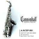 *在庫あり・即納可*《 在庫品現物写真 》Cannonball A.SCEP-BS
