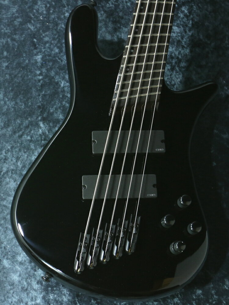 Spector NS DIMENSION HP 5 Multi-Scale Black Gloss【新商品】【重量4.32kg】【日本総本店ベースセンター在庫品】