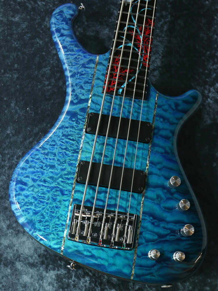 FREEDOM CUSTOM GUITAR RESEARCH F.U.Dulake 5st【Freedom Universe】【重量4.60kg】【日本総本店ベースセンター在庫品】