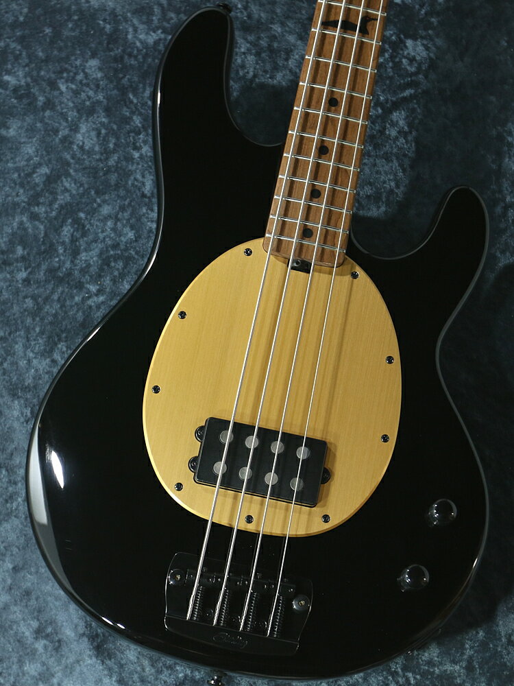 Sterling by MUSIC MAN Pete Wentz Signature StingRay【即納可能】【重量3.92kg】【日本総本店ベースセンター在庫品】