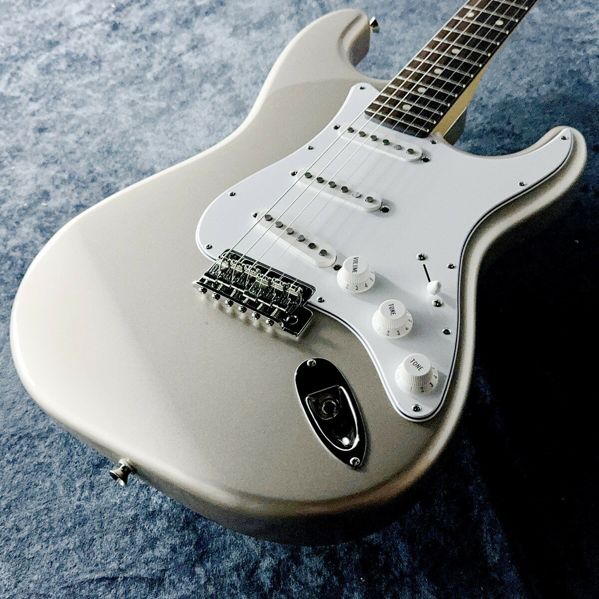 FUJIGEN(FGN) NST100RAL-PLR #H231000