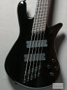 Spector NS DIMENSION HP 5 Multi-Scale Black Gloss【重量4.32kg】【日本総本店ベースセンター在庫品】