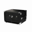 PHIL JONES BASS C2 (Black) (2 x 5", 150W/8Ω) (キャビネット)【ONLINE STORE】