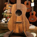 Martin T1K Uke #33398 1907年頃からの試行錯誤を重ね、1916年にウクレレを世に送り出したMartin。 1920年代においてはギター製作以上にウクレレが脚光を浴びました。 それから現代に至るまで、ハワイアンウクレレとは異なる魅力を持つ2大ブランドの一つとして 良質なウクレレを作り続けております。 Martinは現在USAとMexico、2つの工場からウクレレを製作しております。 Mexico製モデルでは伝統的スタイルを受け継いだMartinウクレレをお手頃な価格で提供致します。 本器はハワイアンコア単板ボディのテナーウクレレT1K Uke。 コア材特有のコロッとした温かみのあるサウンドに、マーチンウクレレならではの明瞭で元気な鳴り、テナースケールによる張りのある粒立ちの良さが魅力です。 今回、当店にT1K Ukeは3本入荷しました。下記サウンド解説は3本を比較した内容になります。 こちらの個体(#33398)はコアらしい温かみ、明るさはもちろん感じさせるのですが、サウンドに甘さ際立っているのが特徴です。 コードを鳴らした際にも、優しく、それでいて音の分離感も申し分無いサウンドであります。 マホガニーのウクレレがお好みの方にも勧めしたくなる個体です。 もちろん、お手頃な価格帯で良いウクレレお探しの熟練者の方にも、おすすめの1本です！ -仕様- ボディトップ　ハワイアンコア単板 ボディサイド/バック　ハワイアンコア単板 ネック　シポ 指板/ブリッジ　エボニー スケール　約432mm フレット　20　(14Fジョイント) -付属品- Soft Gig Bag、保証書 【試奏動画送ります！】 お店が遠い、忙しくてなかなか来られない… そんなお客様へ試奏動画を店頭で撮影しお送りいたします！ メールでご希望の商品・ご希望の演奏スタイルをお申し付け下さい。 ※撮影してからのお送りになりますのでお時間を頂く場合がございます。 【中古買取&下取徹底強化中】 中古買取、下取り、ご委託も承っております。 まずはお気軽にご相談下さい。 【ショッピングクレジット金利0%キャンペーン】 ただいまDr.Soundでは、楽器購入の際の強い味方、 ショッピングクレジット分割金利0％キャンペーンを実施中です。 【ACCESS】 ■ 電車をご利用の場合 ┗ JR御茶ノ水駅から徒歩5分 ┗ 東京メトロ千代田線新御茶ノ水駅から徒歩5分 ┗ 東京メトロ半蔵門線神保町駅から徒歩5分 ┗ 都営新宿線 / 都営三田線神保町駅から徒歩5分 ■ インターチェンジからのアクセス ┗ 首都高速都心環状線「一ツ橋IC」から約1km ┗ 首都高速都心環状線「神田橋IC」から約1km ■ 駐車場のご案内 ┗ 明治大学 リバティータワー駐車場 ◎ 当店でお買い物頂いたお客様へ無料駐車券をサービス！ ┗￥3,000 以上お買い上げ → 1時間無料 【お問い合わせ】 ■ Dr.Sound TEL：03-3291-9791 MAIL：E-Mail dr4@kurosawagakki.com ※即日発送ご希望の場合はお問い合わせください。 【LINEクロサワ楽器Dr.Soundトークでお問い合わせ】 　 【Twitter @DrSound_ACO DMでお問い合わせ】 　 【Facebook @DrSound.ACO Messageでお問い合わせ】 　