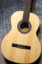 Orpheus Valley Guitars 【小物6点サービス!】Fiesta F65S 松 / ローズウッド 【印象的な杢目です】【現物写真】【池袋店在庫品...