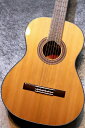 Martinez 【チューナーサービス!】MC-58 杉 #MY20930904【現物写真】【クラシックギター】【池袋店在庫品】