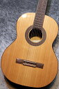Orpheus Valley Guitars 【小物6点サービス!】Fiesta F63C 杉 【ショートスケール】【お取り寄せ】【サンプル画像】【池袋店在庫品...