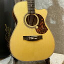 MATON 【メイトングッズプレゼントキャンペーン中】EBG808CTE #31005【トミエマモデル】【池袋店】