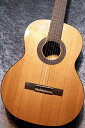 Orpheus Valley Guitars 【小物6点サービス!】Fiesta F65C 杉 / ローズウッド #008【お勧め!】【現物写真】【池袋店在庫品...