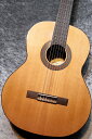 Orpheus Valley Guitars 【小物6点サービス!】Fiesta F65C 杉 / ローズウッド #054【良音】【現物写真】【池袋店在庫品】