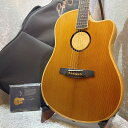 【半期決算セール!!~8/31まで!!】【試奏動画】L.R.Baggs AEG-1 TOR #0912【渋いルックス】【L.R.Baggsイコライザーペダルプレゼント】【送料当社負担】【池袋店在庫品】