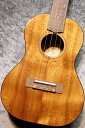 FUJIGEN(FGN) 【夏のボーナスセール!!】FUS-TT-03 #23C0011【テナー】【ハワイアンコア単板】【池袋店在庫品】