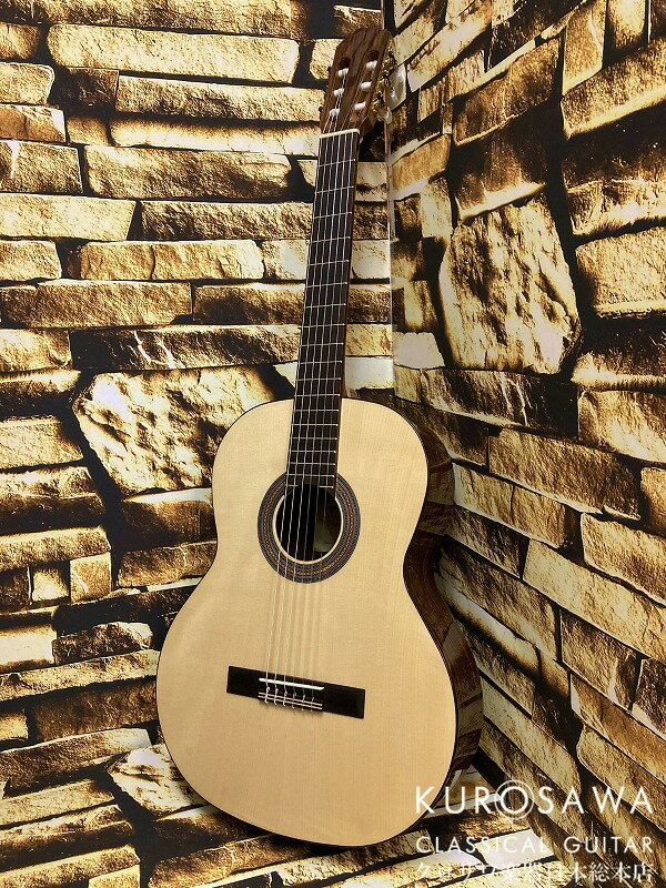 Orpheus Valley Guitars オルフェウス・ヴァレー・ギターズ F65S 松・ローズウッド 【日本総本店2F在庫品】