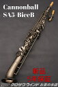 Cannonball SA5-BiceB【新品】【キャノンボール】【セミカーブドソプラノ】【アークソプラノサックス】【お茶の水サックスフロア】
