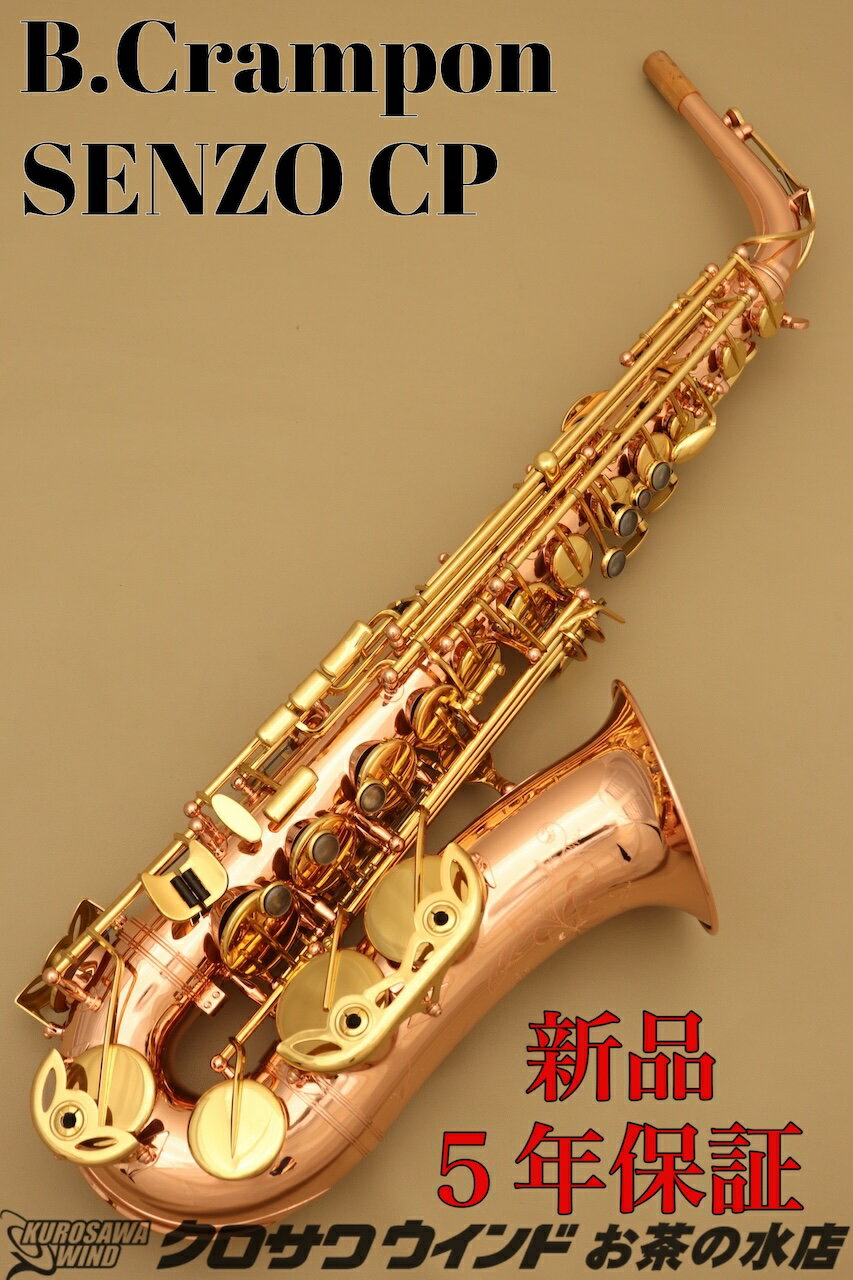 Buffet Crampon SENZO CPڿʡۡڥݥۡڥȥåۡڥ󥾡ۡڴɳڴŹۡڤο奵åե