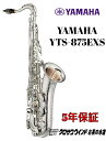YAMAHA ヤマハ YTS-875EXS 【新品】【ヤマハ】【テナーサックス】【クロサワウインドお茶の水】