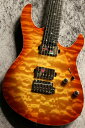 Sago Custom Order Modern Style Genuin Mahogany/h FB Honey Amber Burst yɖی́zy~[iV_Xz