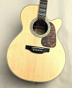【夏の激アツセール】Takamine 【48回無金利】【限定2本!】500 CUSTOM Wild Grain Rosewood #62040189【工場選定材...