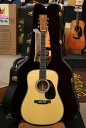 Martin【動画あり】 CTM D-45 Guatemalan#2827340 【イタリアンアルパインスプルーストップ×グアテマラローズサイド・バック 】【G...