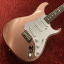 Paul Reed Smith(PRS) Silver Sky
