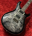 Paul Reed Smith(PRS) Custom 24 -Cha...(2)