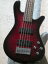 Spector Legend 5 Standard -Black Cherry-5ۡ4.12kg Ź