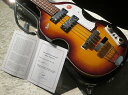 Violin Bass Ignition Special Edition Cavern -Sunburst- #Y1201E018【軽量2.39kg】【ハードケース付属】【池袋店】
