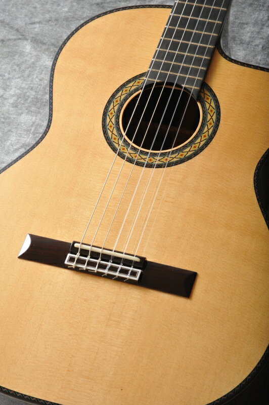 Takamine 300꡼ DMP370NCN (gloss)ԥ饷åա̵ۡONLINE STORE