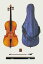 Suzuki  Cello  No.73f 1/8 å Ǽ̤ꡦͽۡONLINE STORE